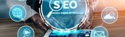 Enhance Organic Rankings and Traffic with Expert Ecommerce SEO Consulting