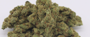 THCA in Hemp Flowers: Unlocking the Power of Cannabis