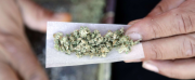 Enjoy Cannabis on the Go with Convenient Disposable Weed Pens