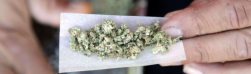Enjoy Cannabis on the Go with Convenient Disposable Weed Pens