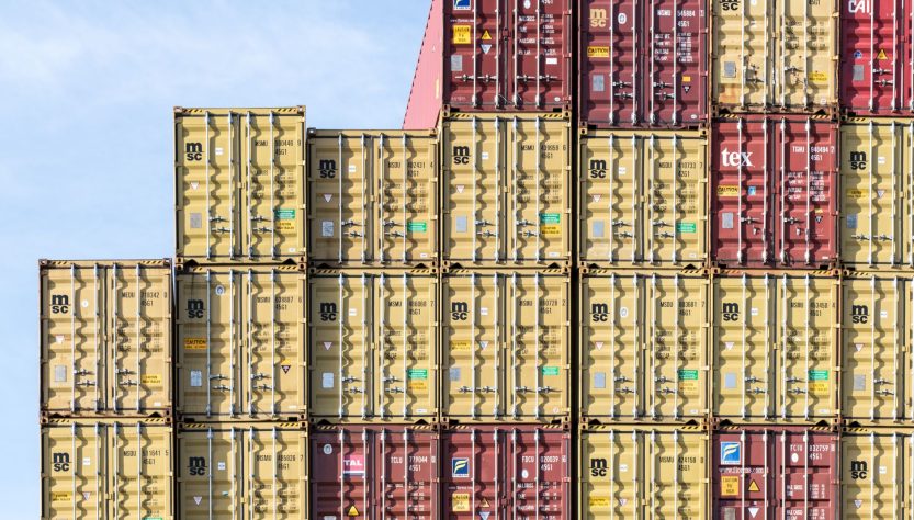 India goods exports surge