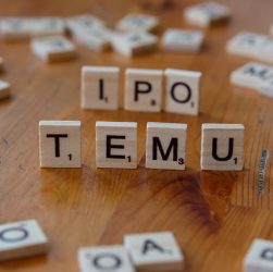 Moneyview IPO GMP