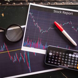 Ramesh Damani portfolio stock