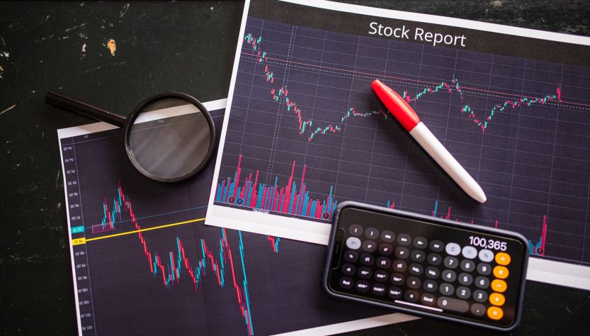 Ramesh Damani portfolio stock